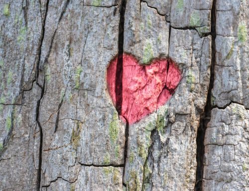 Love Your Heart:  Everyday Habits That Matter